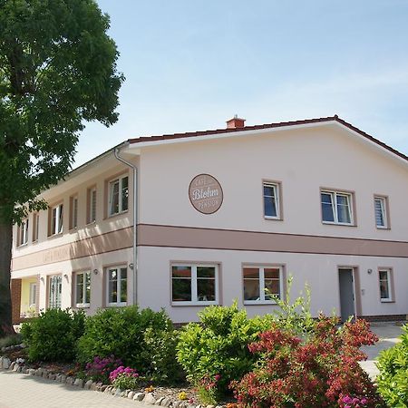 Cafe Und Pension Blohm جرايفسفالد المظهر الخارجي الصورة